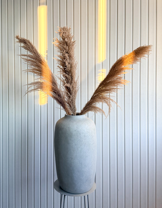 Pampas ’VILDA’ TORRDECOR