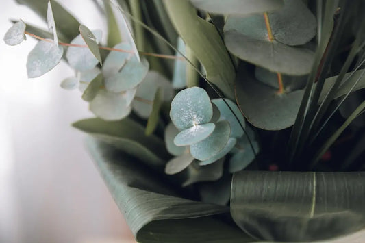 Torkade blommor: hållbar inredning och smarta dekorationsval Torrdecor