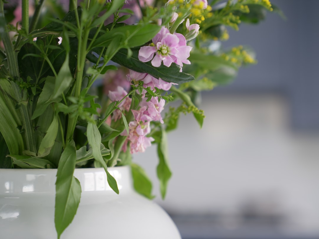 Så väljer du skötselfria blommor för hållbar inredning Torrdecor