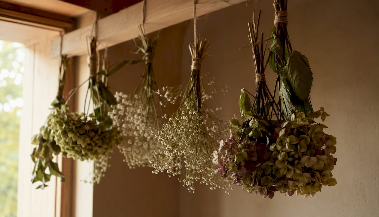 Färska blommor som hänger upp och ner för att torka