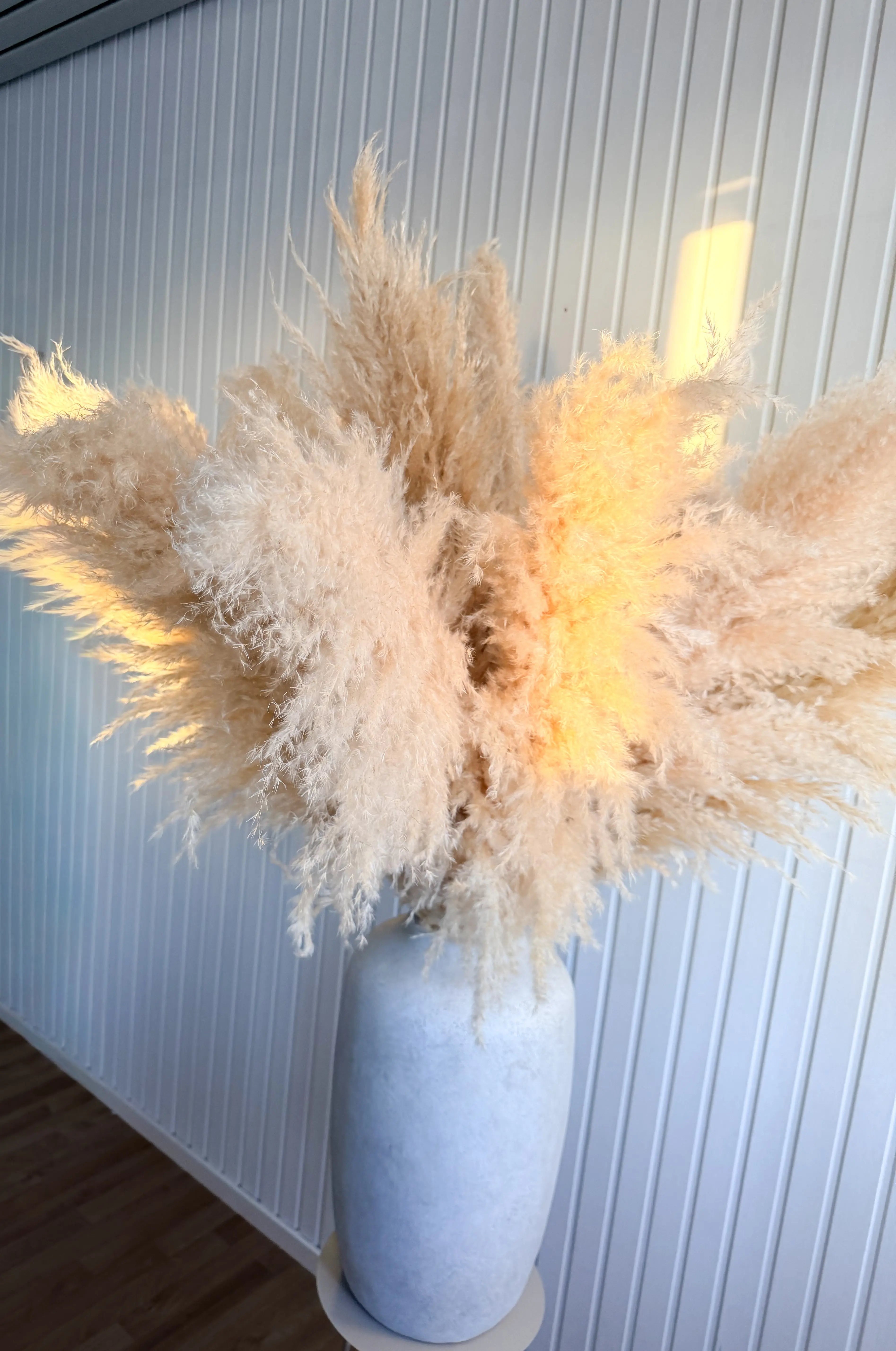 Hur får man pampasgräs fluffigt? (max volym efter frakt) Torrdecor