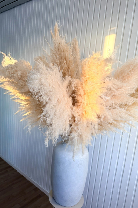 Hur får man pampasgräs fluffigt? (max volym efter frakt) Torrdecor