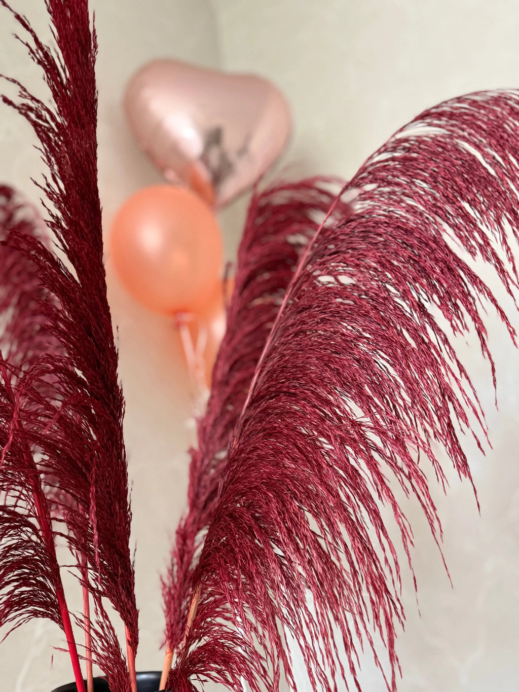 Pampas ’VILDA’ TORRDECOR