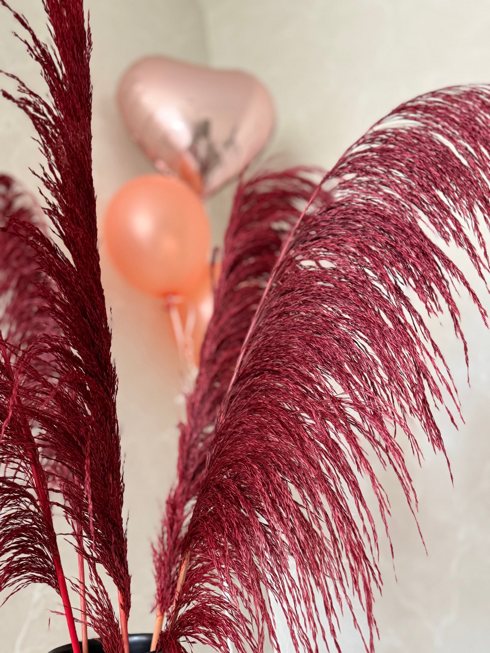 Pampas ’VILDA’ TORRDECOR