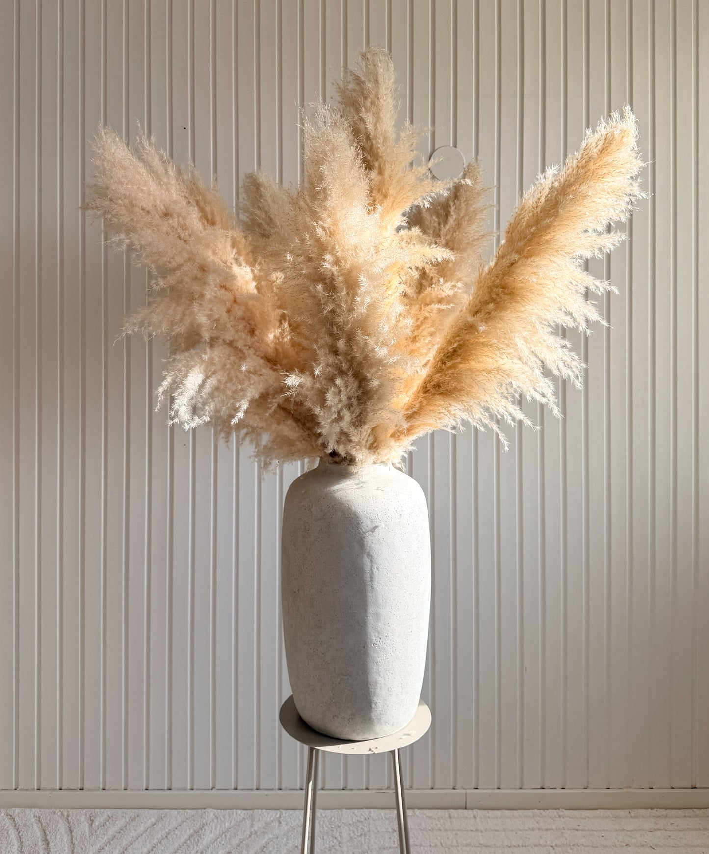 Pampas 110cm TORRDECOR