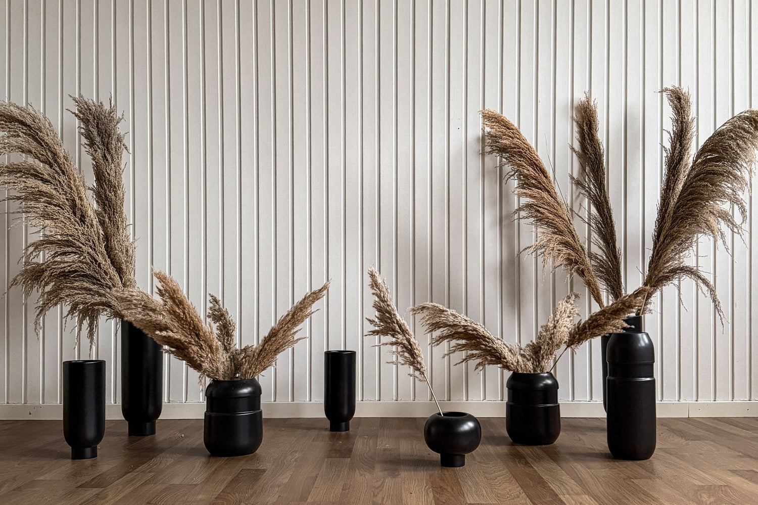 Pampas ’VILDA’ TORRDECOR