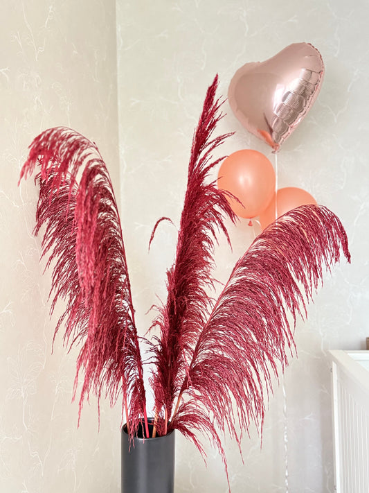 Pampas ’VILDA’ TORRDECOR