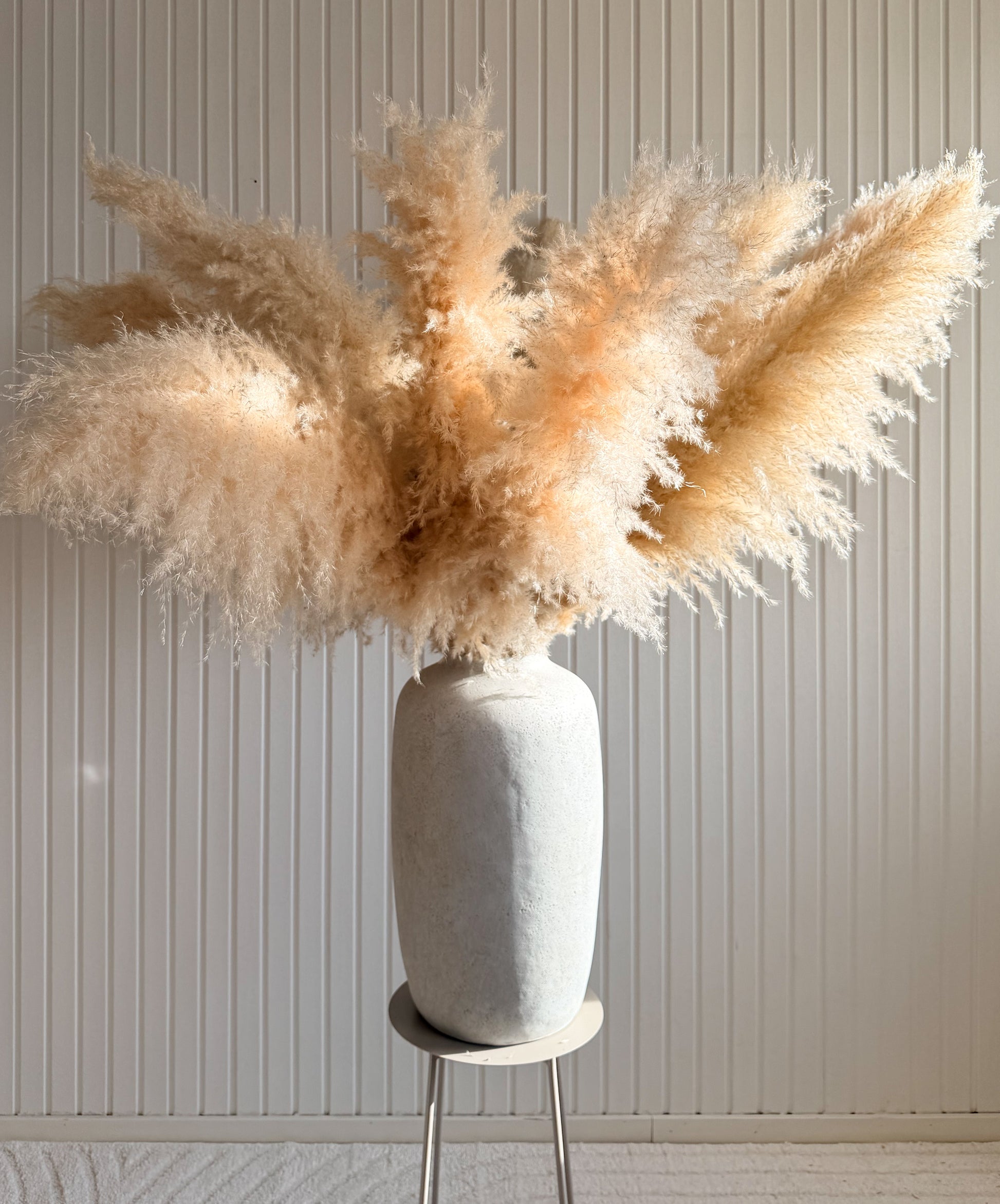 Pampas 110cm TORRDECOR