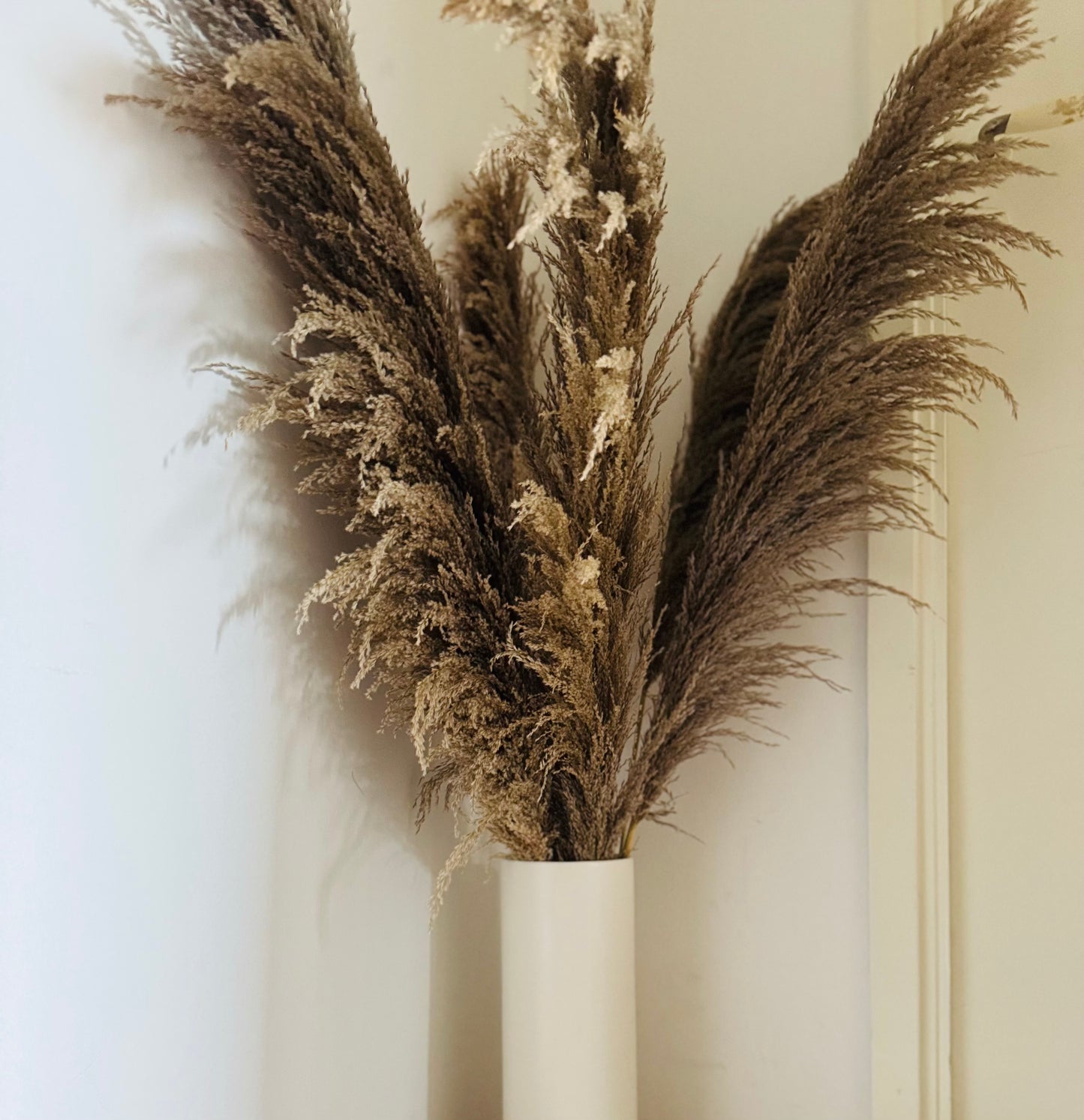 Pampasgräs VILDA naturell 110 cm i hög vit leravas