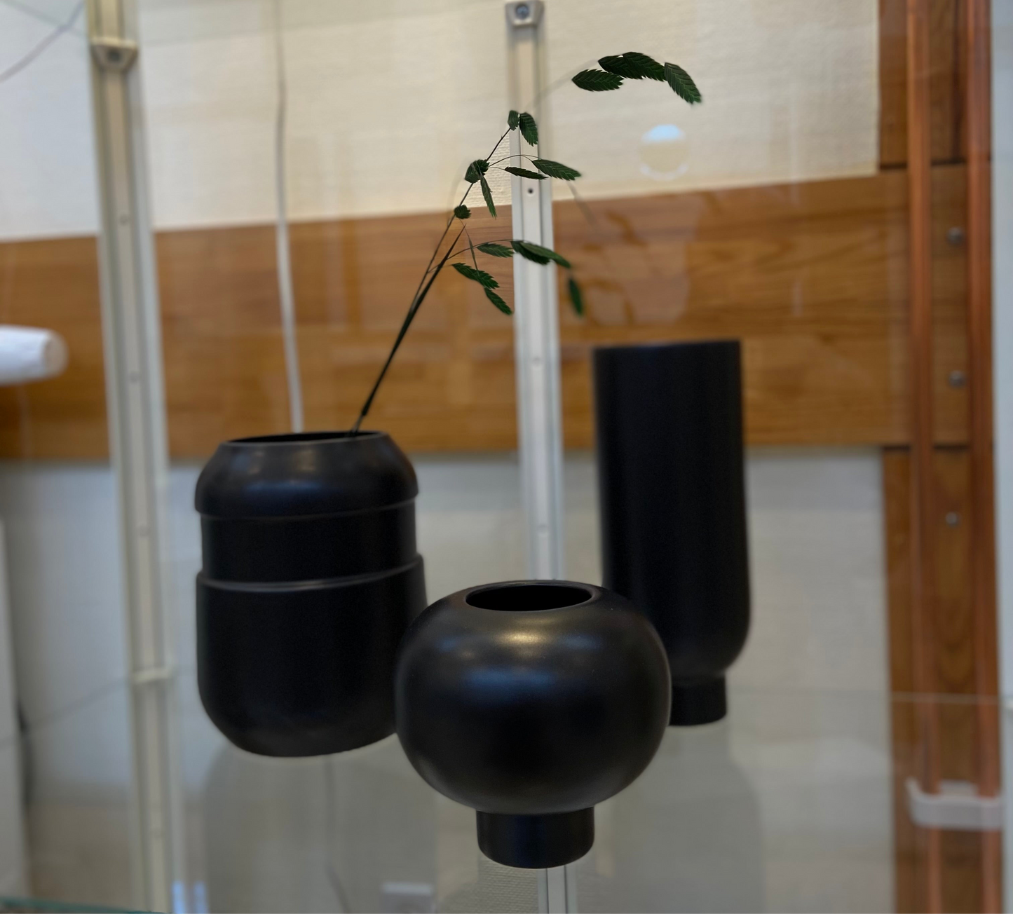 Chasmantum TORRDECOR