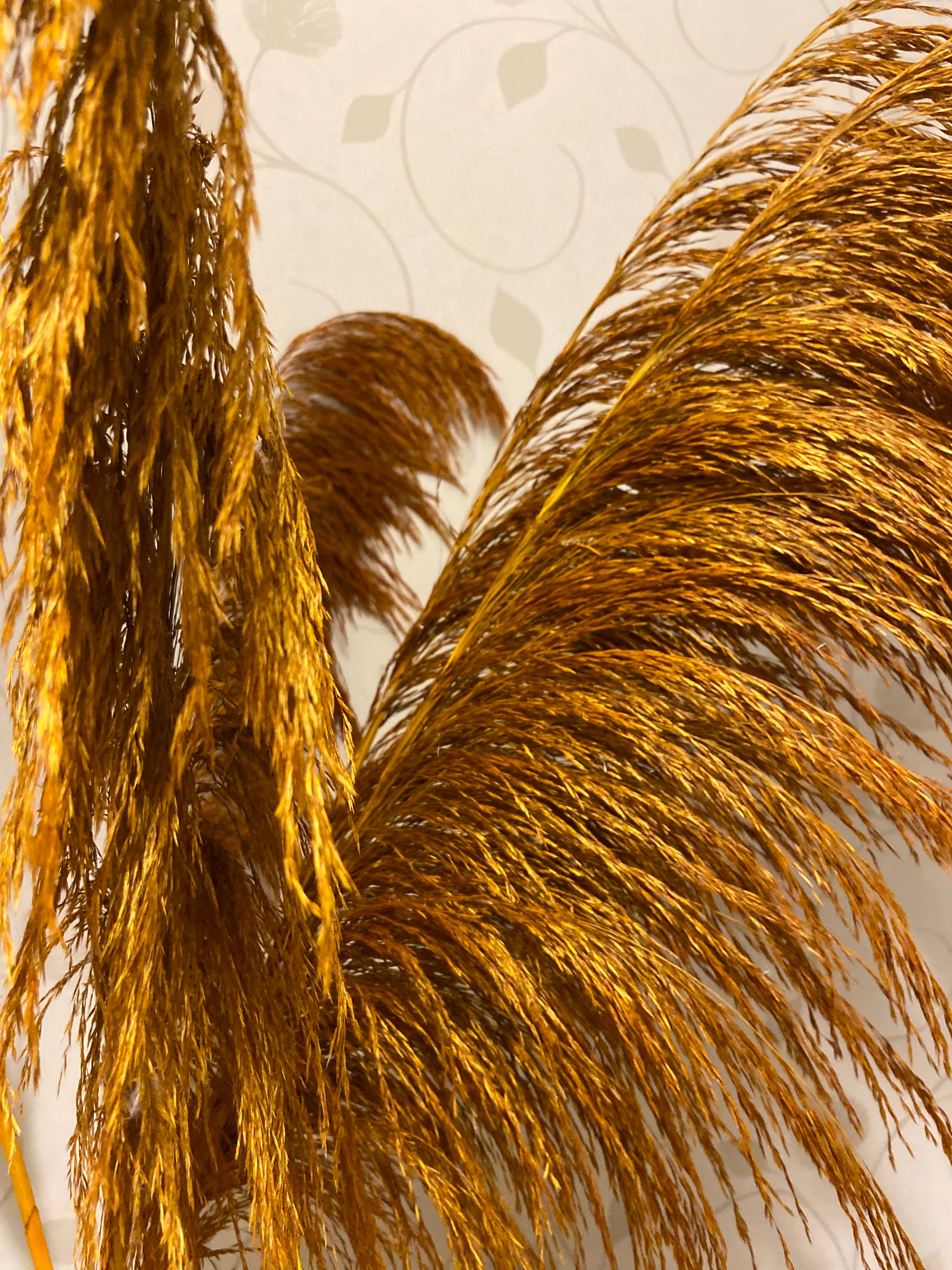 Pampas ’VILDA’ Höst TORRDECOR