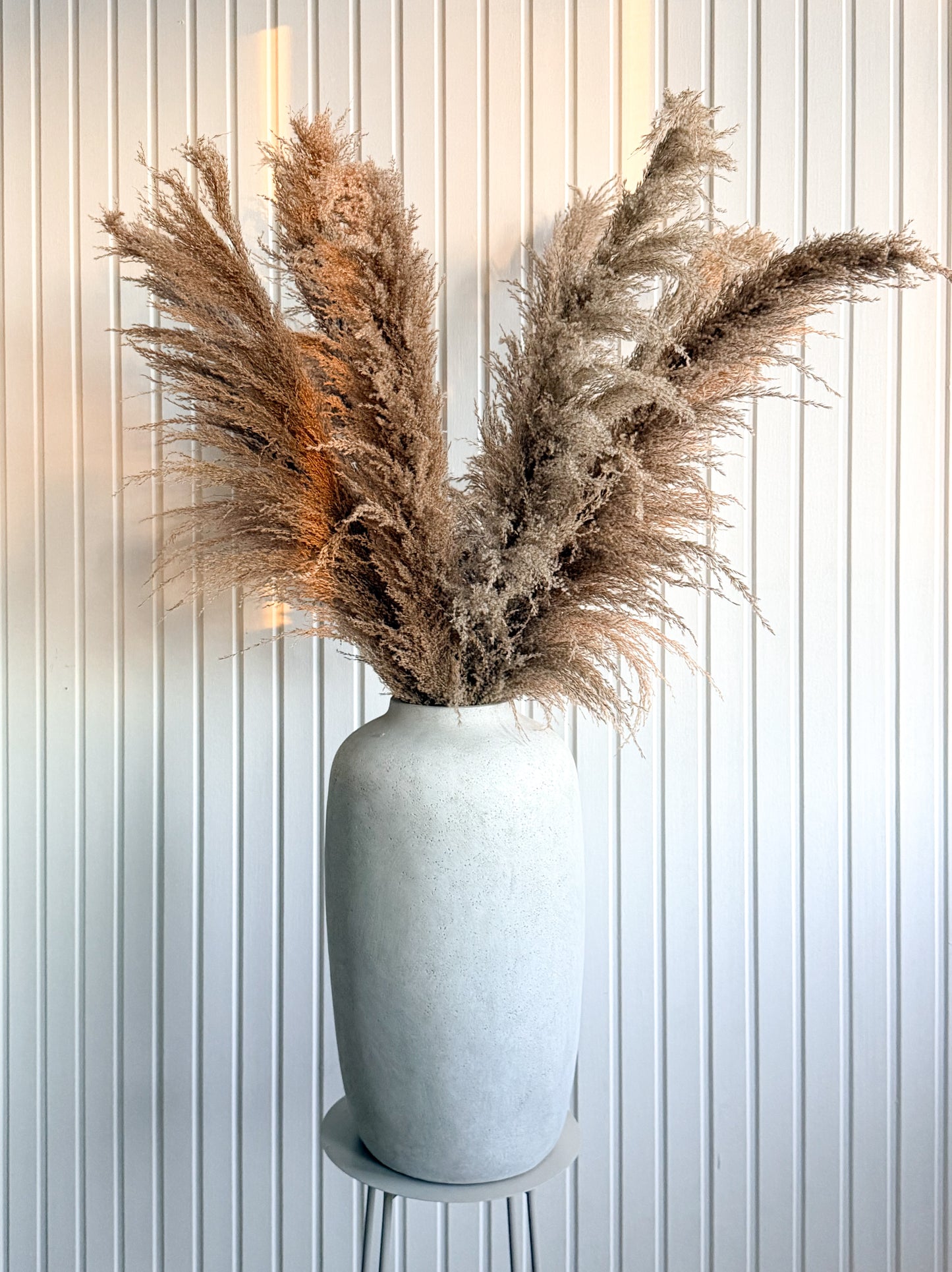 Pampas ’VILDA’ TORRDECOR