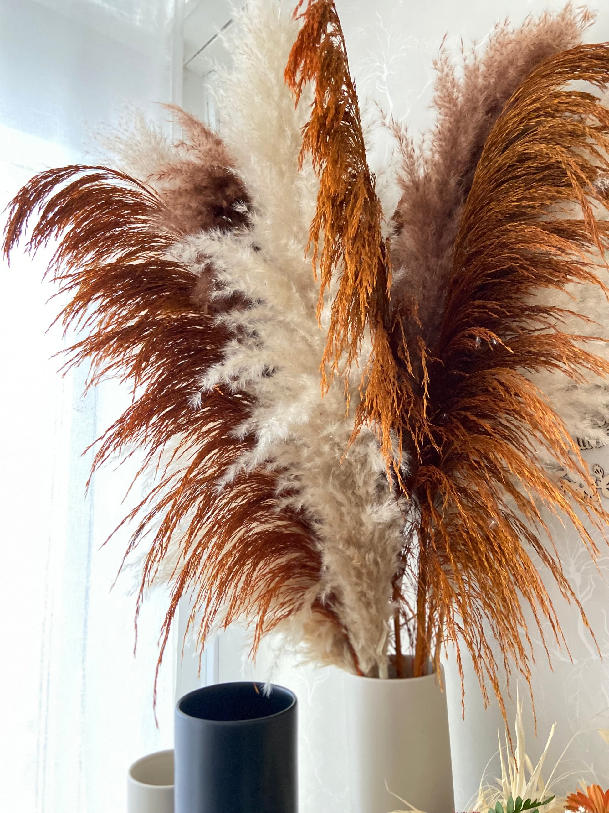 Pampas ’VILDA’ Höst TORRDECOR