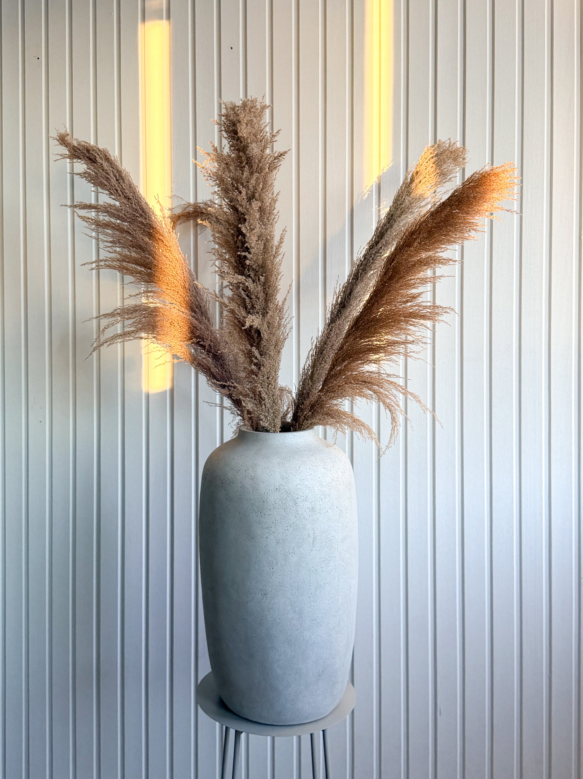 Pampas ’VILDA’ TORRDECOR