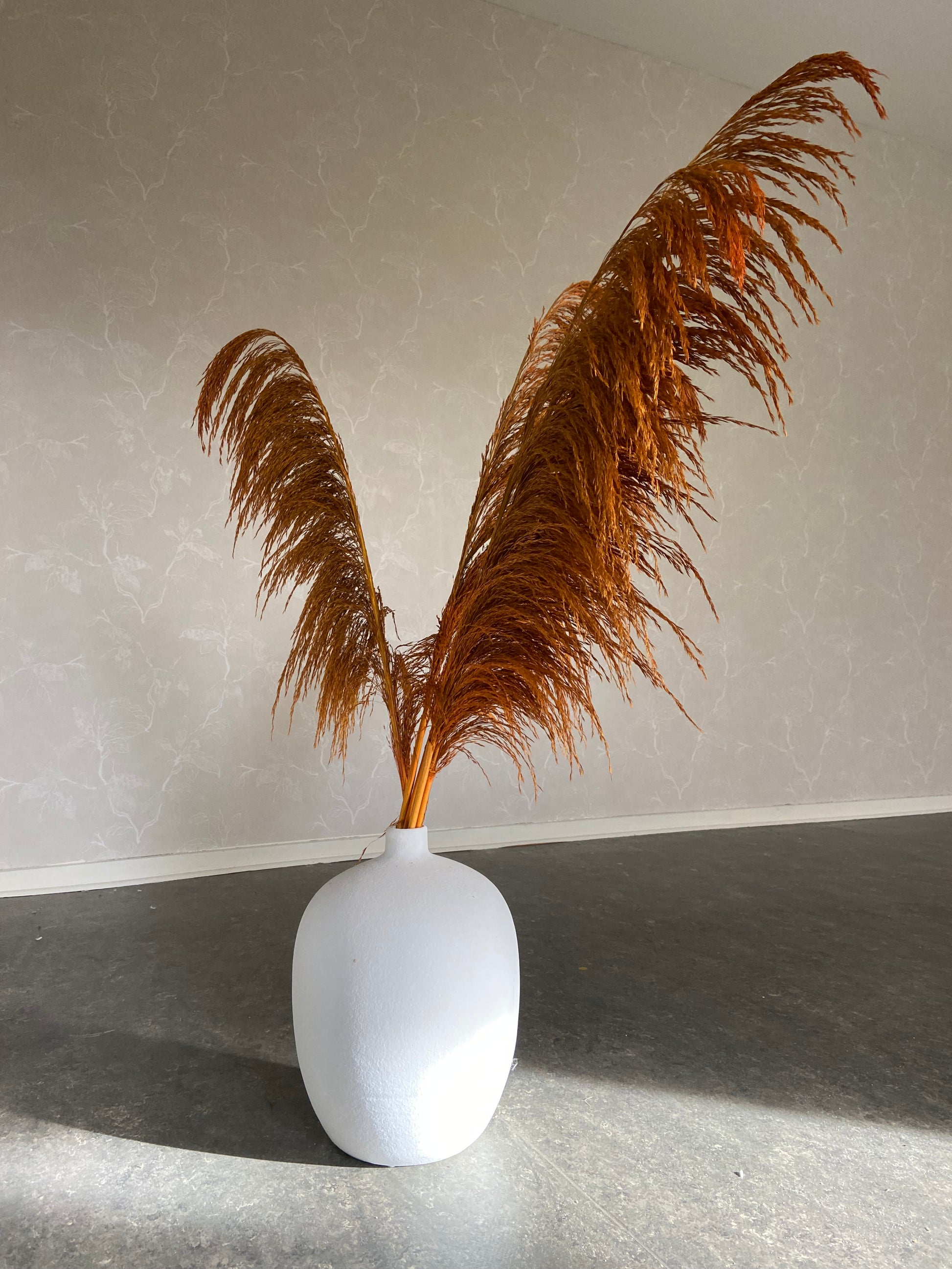 Pampas ’VILDA’ Höst -5pack TORRDECOR