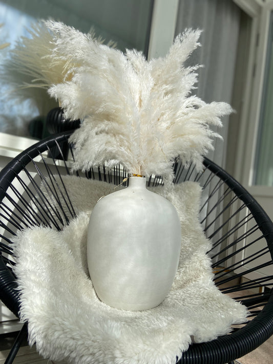 Vita fluffiga korta pampas.