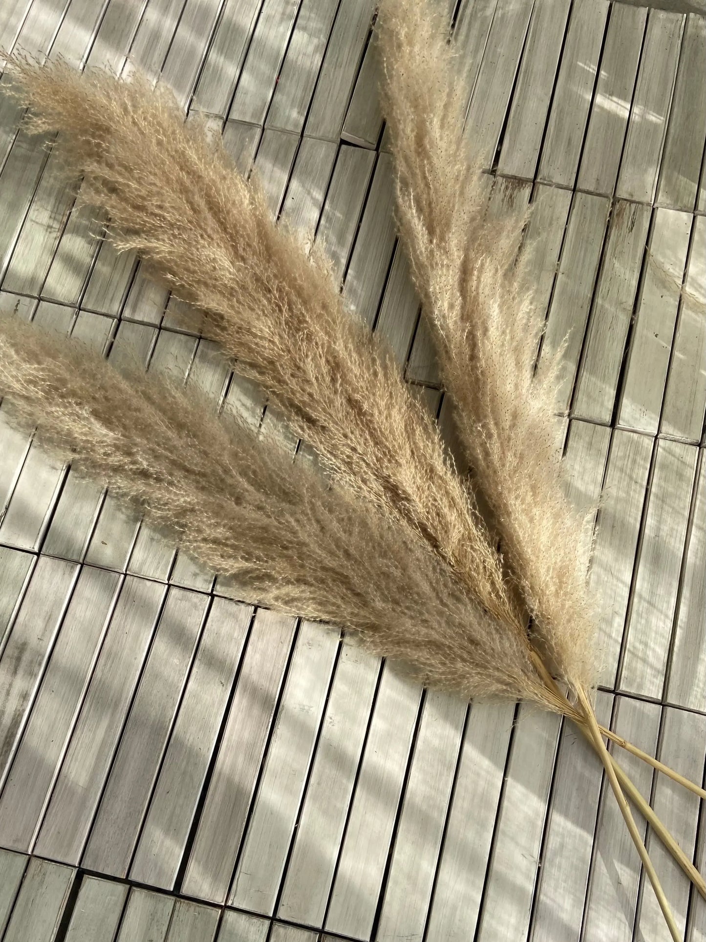 Tre st torkade pampasgräs i naturlig färg, ca 120 cm höga – dekorativa för hem och evenemang.

