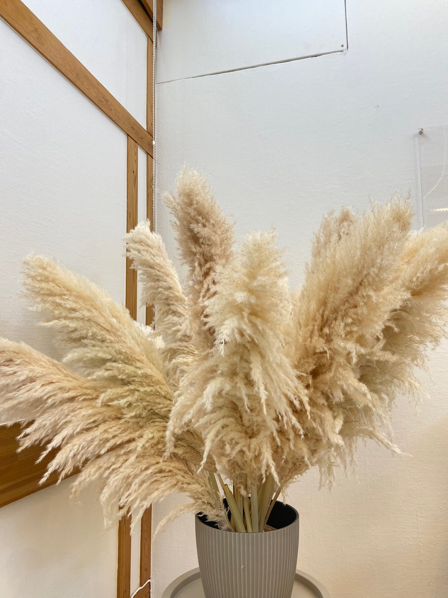 Pampas 110cm TORRDECOR