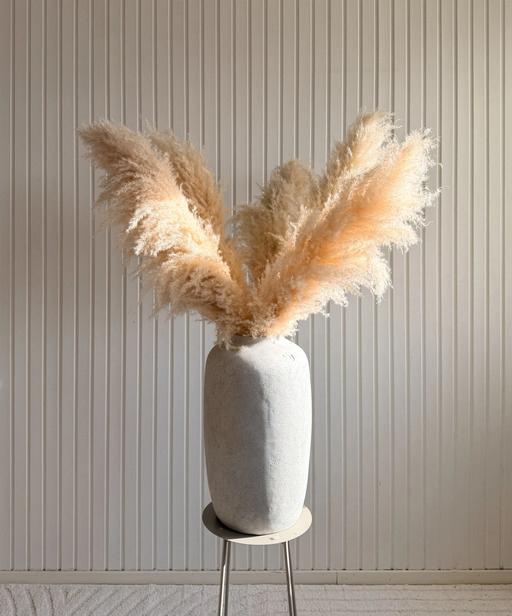Pampasgräs 110cm TORRDECOR